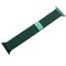 Ремешок из нержавеющей стали COTECi W6 MAGNET Band (WH5203-GR) для Apple Watch 44мм/ 42мм Зеленый - фото 10183