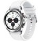 Умные часы Samsung Galaxy Watch4 Classic 42мм, серебро - фото 19698